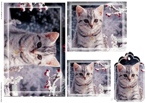 kitty Toppers with tags 