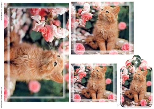 kitty Toppers with tags 