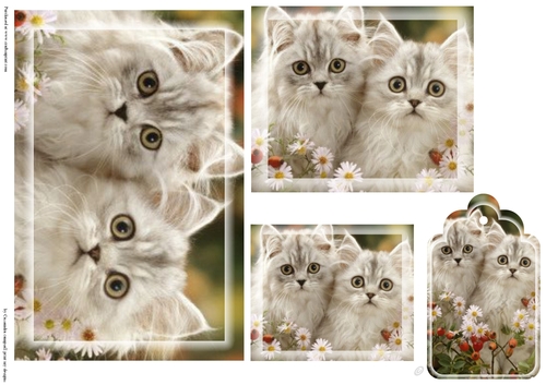kitty Toppers with tags 