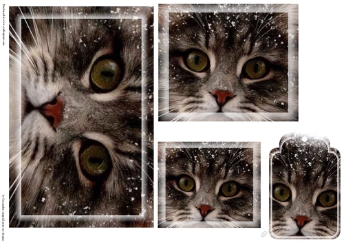 kitty Toppers with tags 