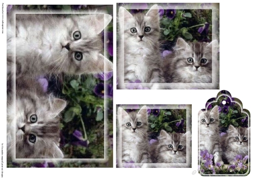 kitty Toppers with tags 