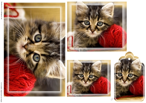 kitty Toppers with tags 
