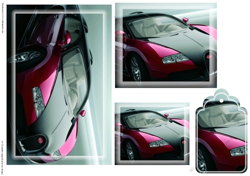 car Toppers with tags 