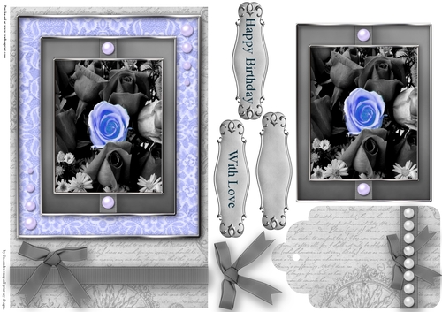 Black and White with a spash of color Quick Card