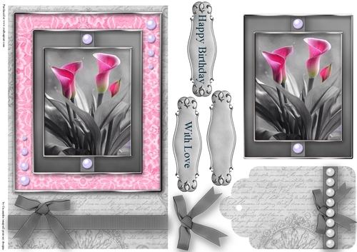 Black and White with a spash of color Quick Card