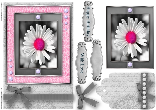 Black and White with a spash of color Quick Card