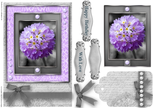 Black and White with a spash of color Quick Card