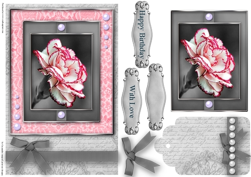 Black and White with a spash of color Quick Card