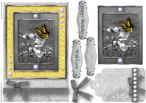 Black and White with a spash of color Quick Card