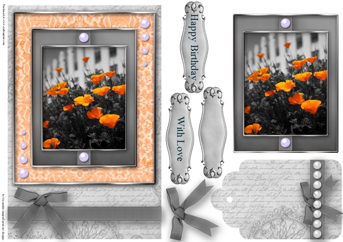 Black and White with a spash of color Quick Card