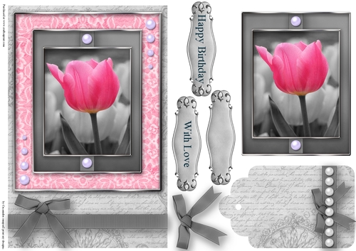 Black and White with a spash of color Quick Card