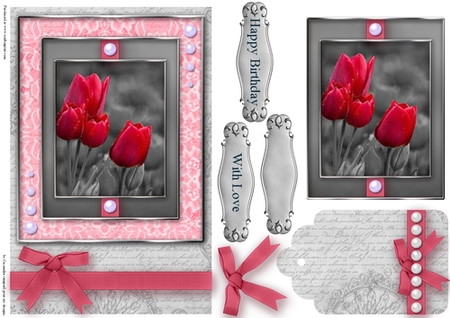 Black and White with a spash of color Quick Card