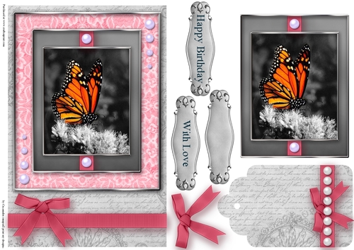 Black and White with a spash of color Quick Card