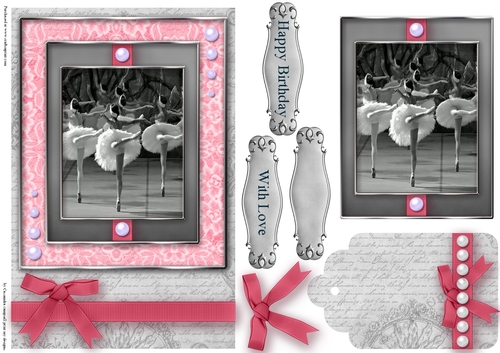 Black and White ballet  Quick Card