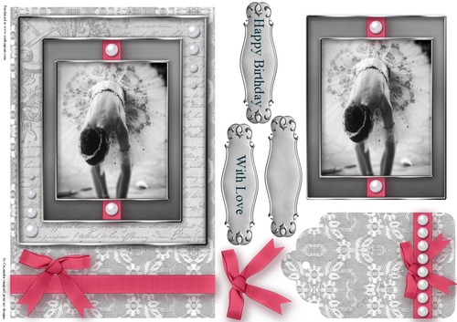 Black and White ballet  Quick Card