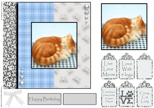 cats leave paw prints on your heart 