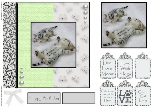 cats leave paw prints on your heart 