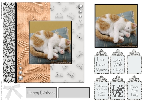 cats leave paw prints on your heart 