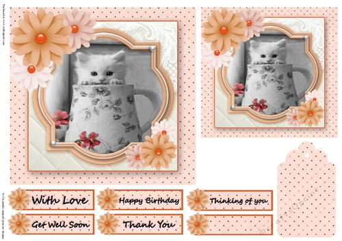 Birthday Female Quick card