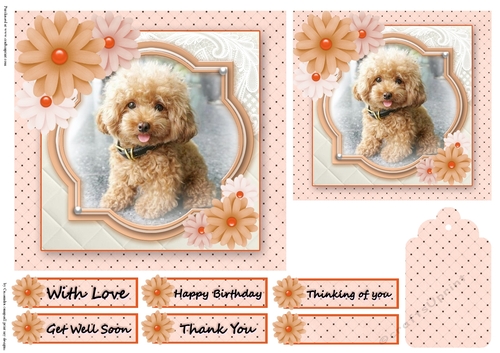 Birthday Female Quick card