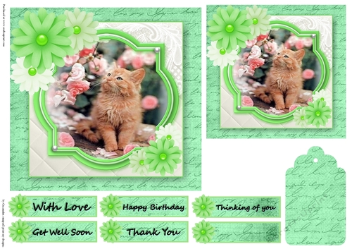 Birthday Female Quick card