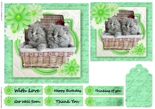 Birthday Female Quick card