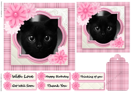 Birthday Female Quick card