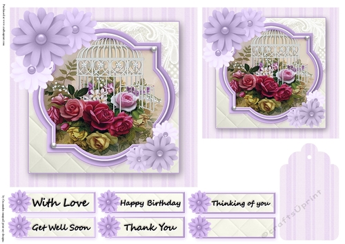 Birthday Female Quick card