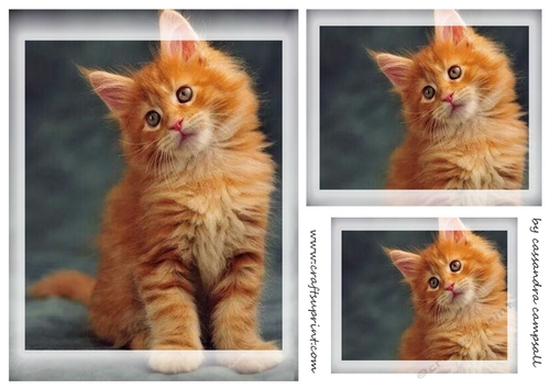 kitty Toppers for birthday thank you and much more