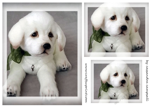 dog Toppers for birthday thank you and much more