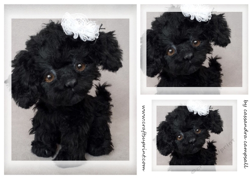 dog Toppers for birthday thank you and much more
