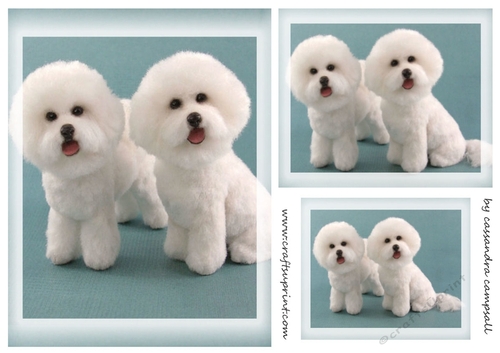 dog Toppers for birthday thank you and much more