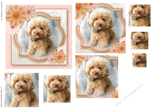 Pyramid watercolor toppers collection puppy