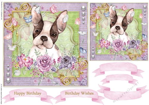 Happy Birthday Quick card collection