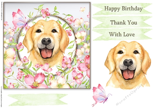 Happy Birthday Quick card collection