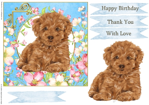 Happy Birthday Quick card collection