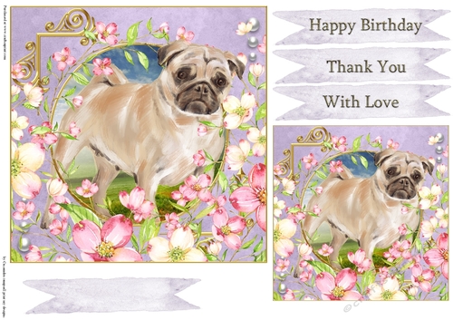 Happy Birthday Quick card collection