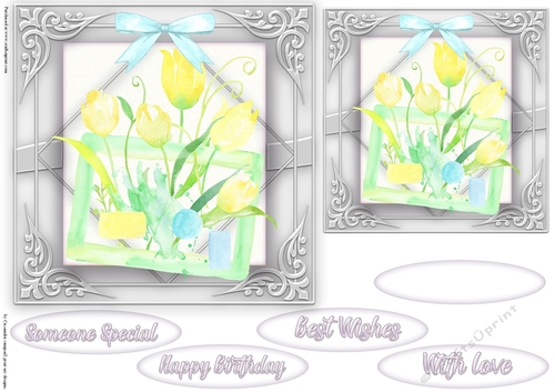 Floral Quick card collection 