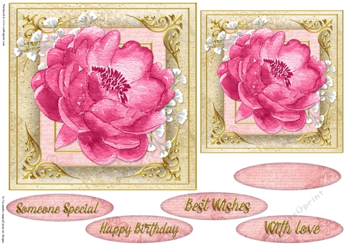 Floral Quick card collection 
