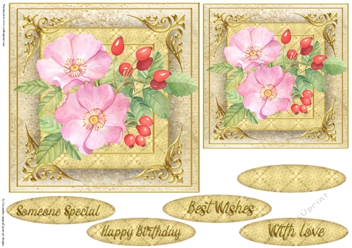 Floral Quick card collection 