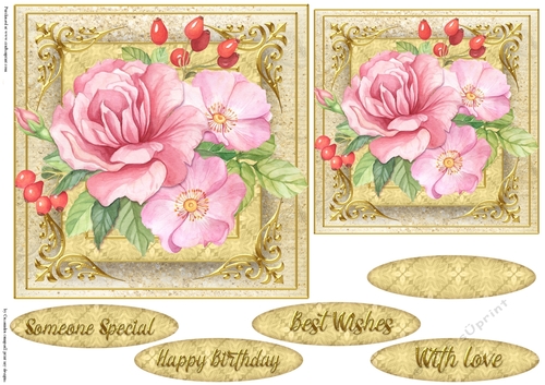 Floral Quick card collection 