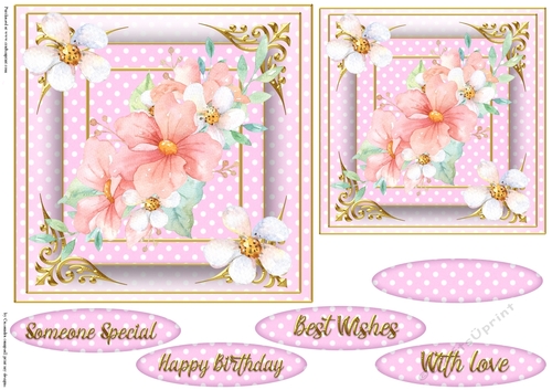 Floral Quick card collection 