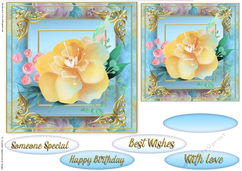 Floral Quick card collection 