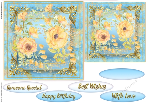 Floral Quick card collection 