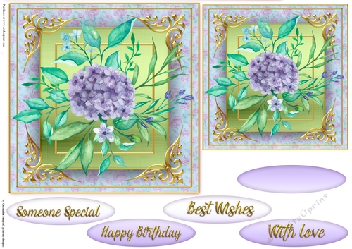 Floral Quick card collection 