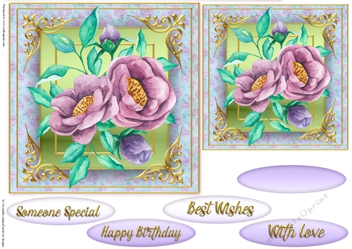 Floral Quick card collection 