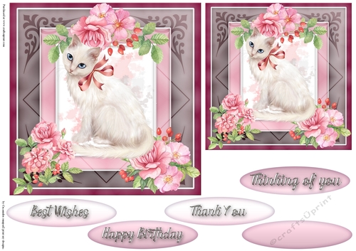 Happy Birthday card collection
