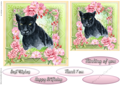 Happy Birthday card collection
