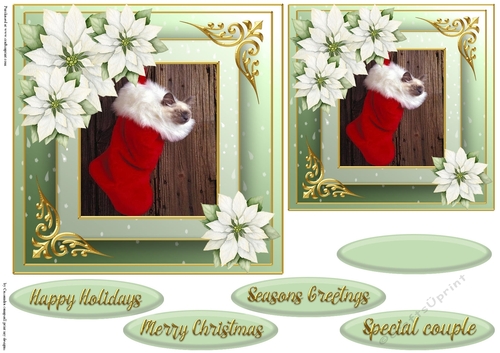 Christmas cat quick card 