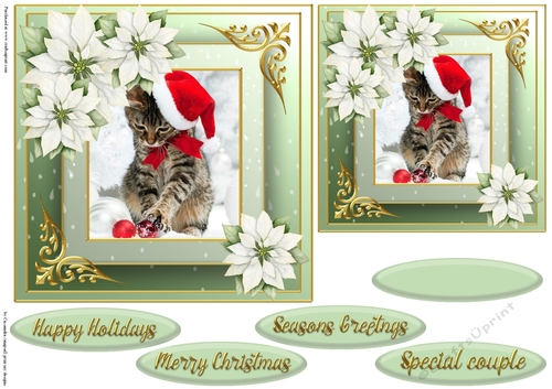 Christmas cat quick card 